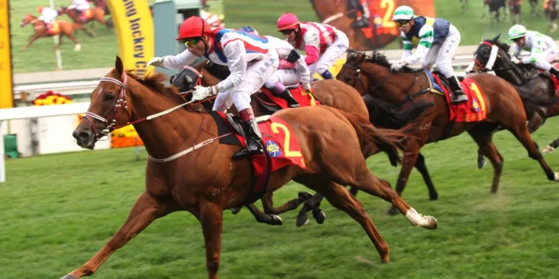 Cách phân tích hiệu quả ngựa và tay đua hiệu quả