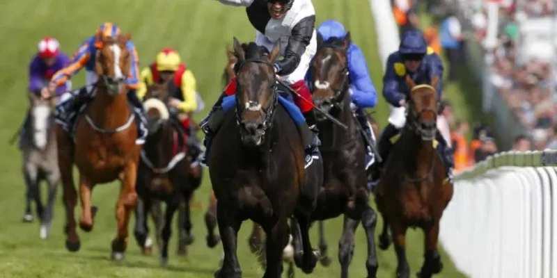 Mẹo đặt cược đua ngựa tăng tỷ lệ thắng?