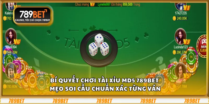 Bí quyết chơi tài xỉu MD5 789Bet - Mẹo soi cầu chuẩn xác từng ván