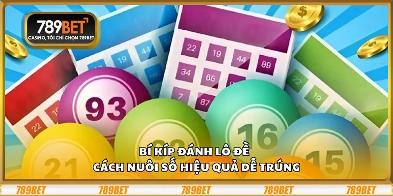 Bí kíp đánh lô đề – Cách nuôi số hiệu quả dễ trúng