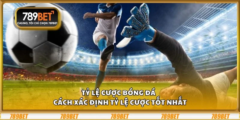 Tỷ lệ cược bóng đá - Cách xác định tỷ lệ cược tốt nhất